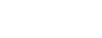 Wisely Financial and Insurance Solutions logo